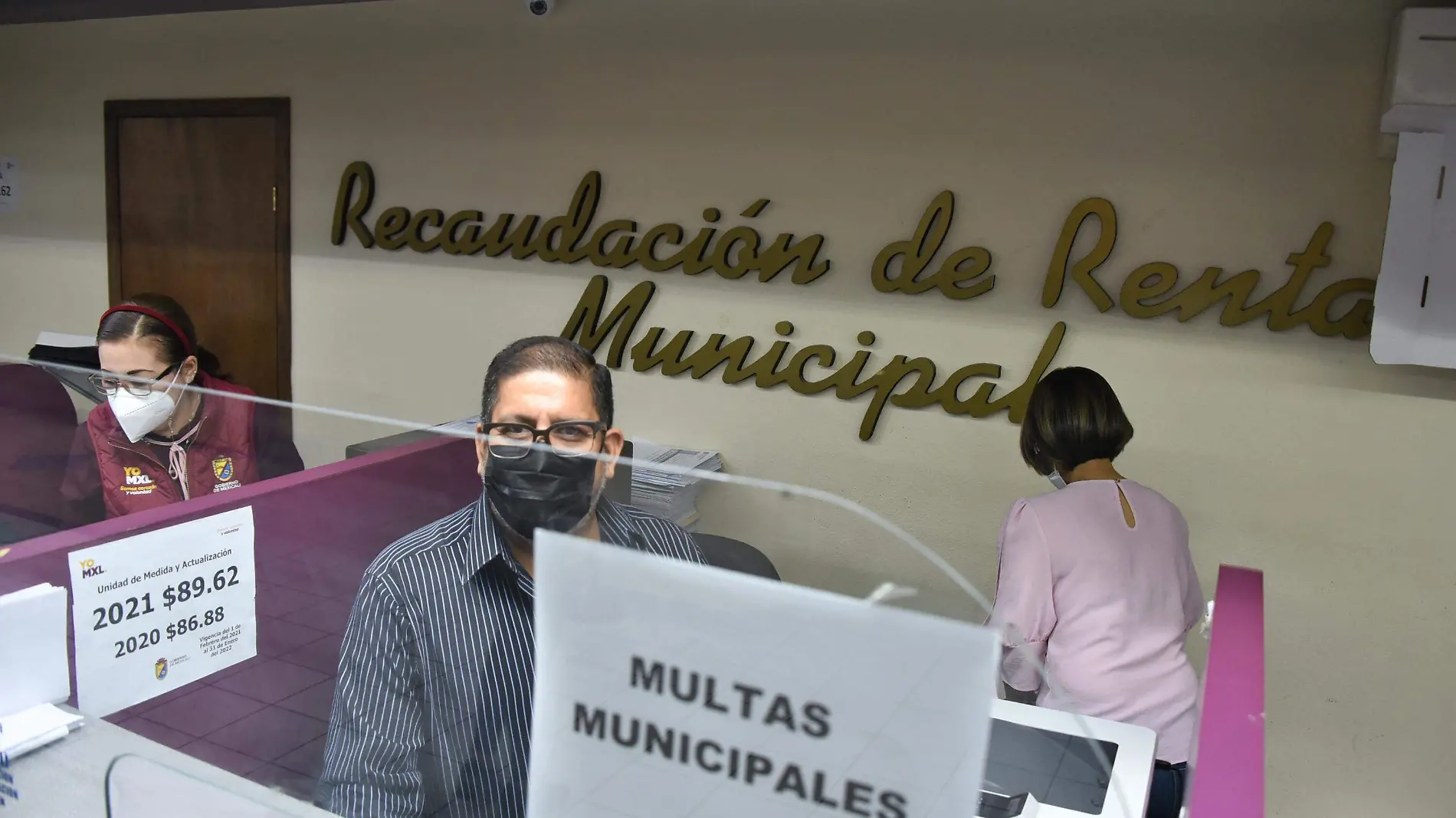 recaudacion de rentas municipio